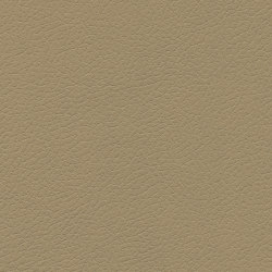 Brisa | Ginger | Upholstery fabrics | Ultrafabrics