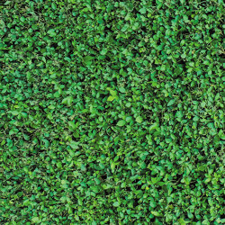 BuzziSkin Printed | Wall panels | BuzziSpace